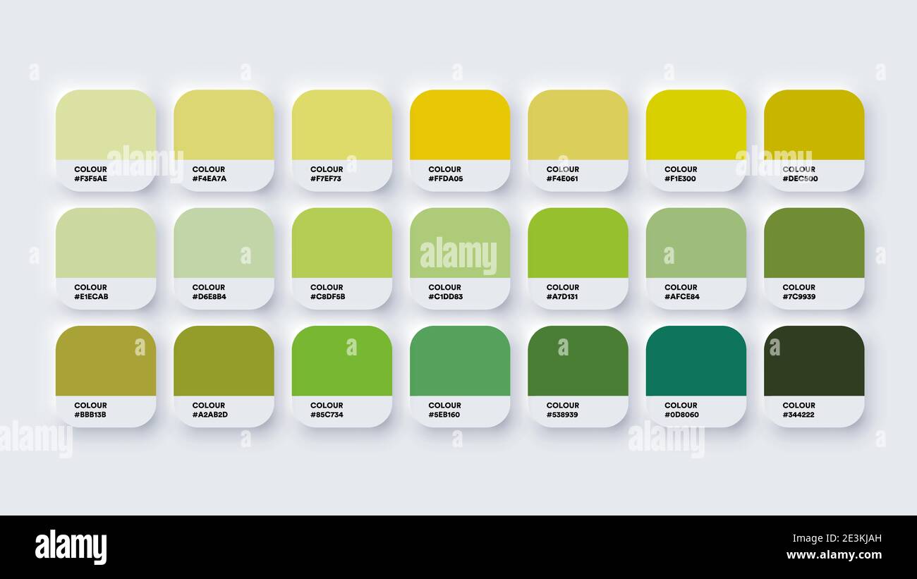 Colour Palette Catalog Samples Yellow and Green in RGB HEX. Neomorphism Vector Stock Vector