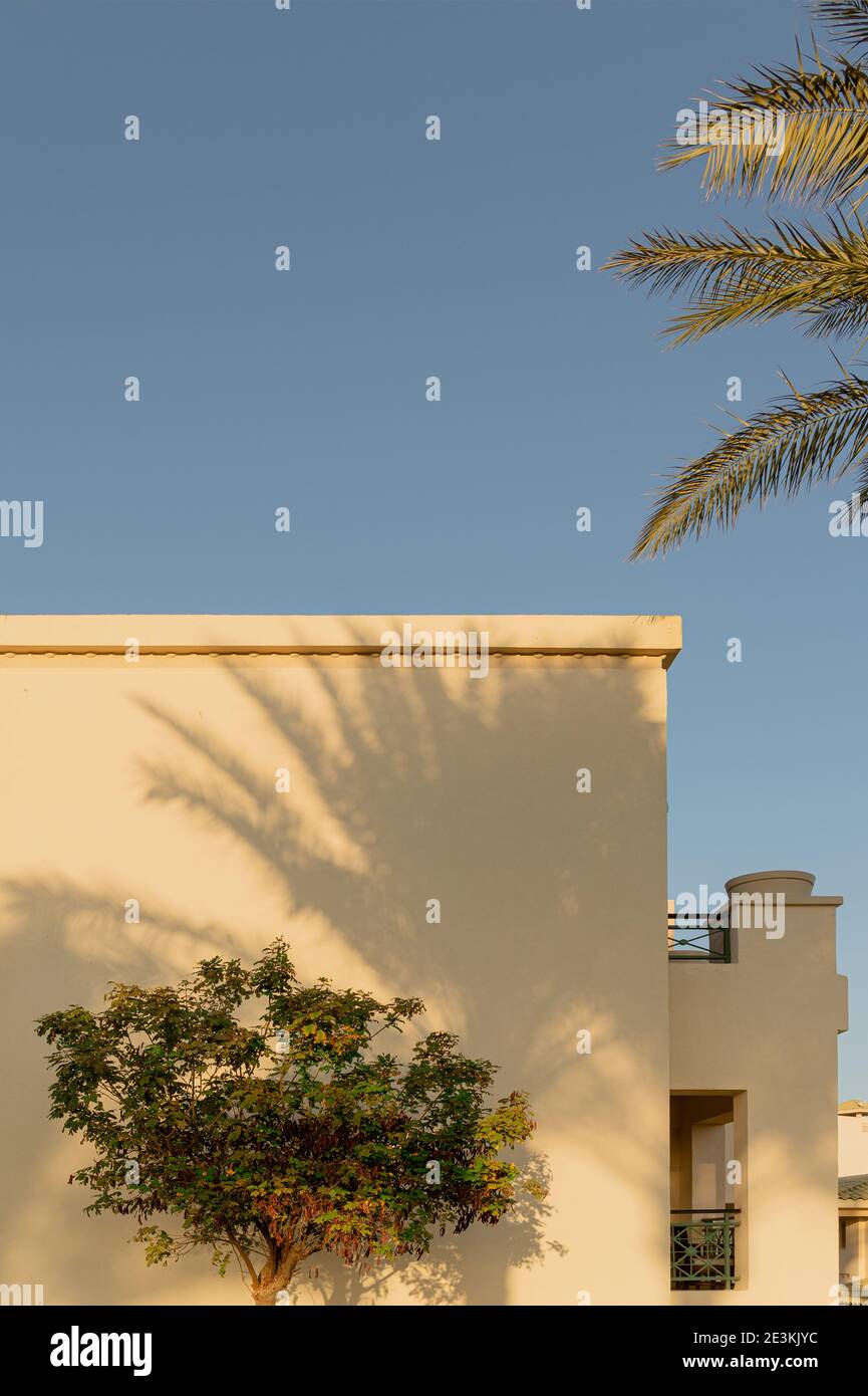 Shadows from palm trees on the light walls of a building background Stock Photo