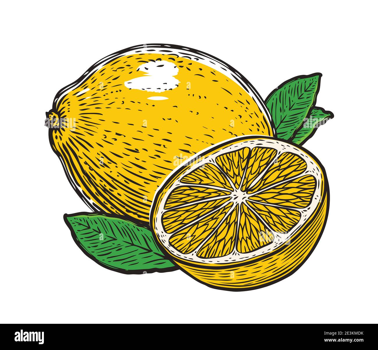 Lemon with leaves. Organic nutrition healthy food. Fruit vector Stock Vector