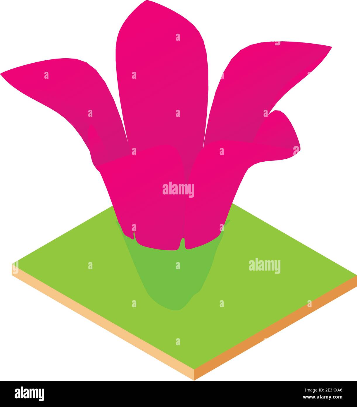 Purple flower icon. Isometric illustration of purple flower vector icon