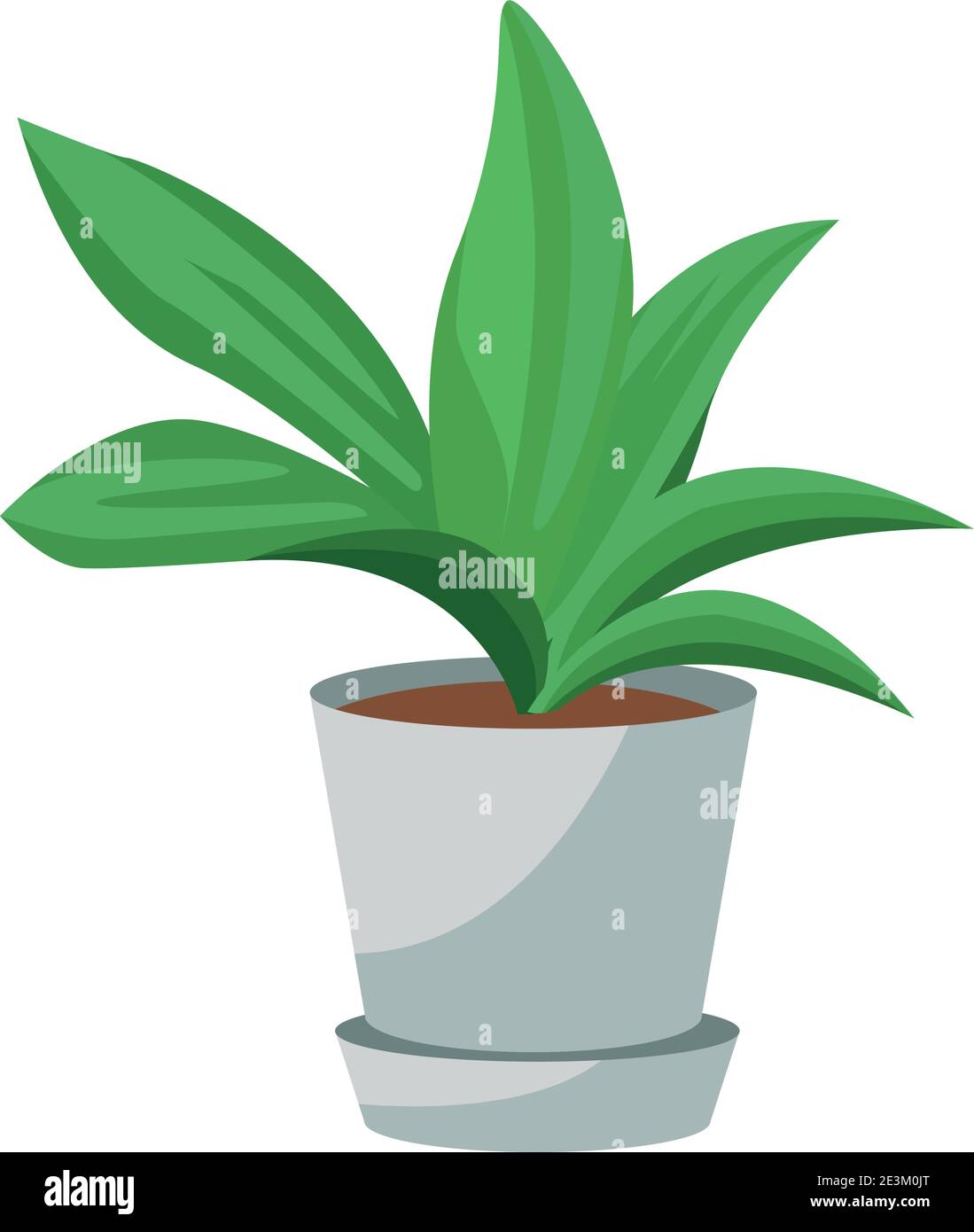houseplant in ceramic pot nature icon vector illustration design Stock ...