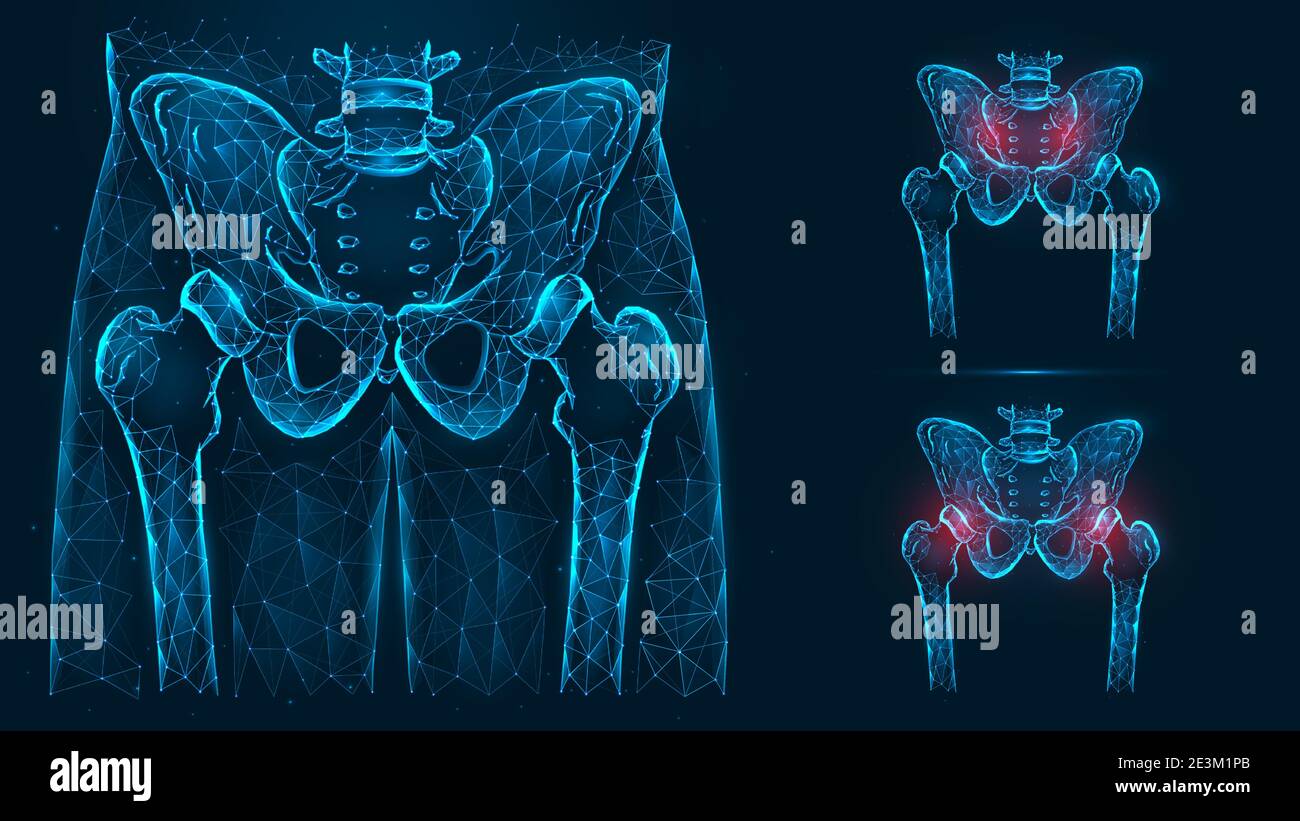 Bones of the pelvis and hip, human anatomy. Pelvic and hip injuries. X ray of the hip joint made of lines and dots isolated on blue background. Stock Vector