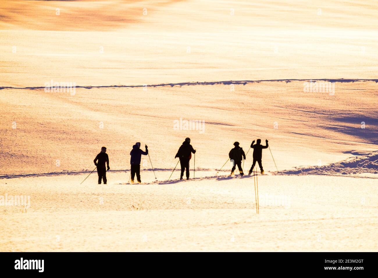 Students in a middle school cross-country ski program silhouetted on a farm field in East Montpelier, VT, USA, New England. Stock Photo