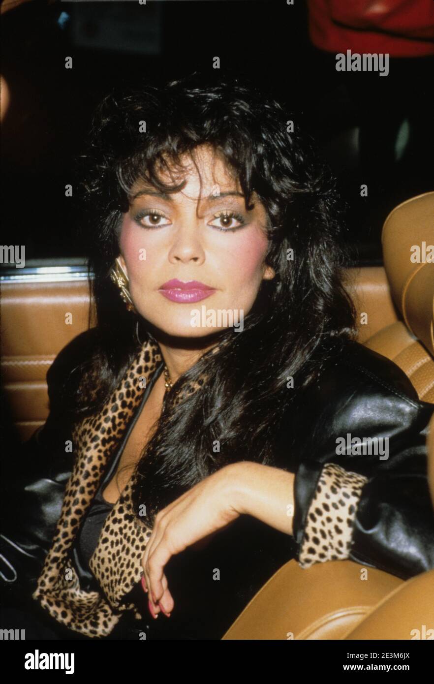 APOLLONIA KOTERO Credit Ralph Dominguez/MediaPunch Stock Photo Alamy