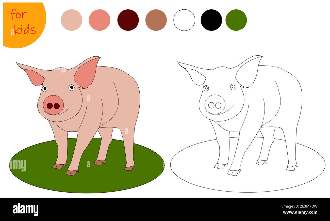 coloring book for kids farm animal pig, coloring book by colors Stock