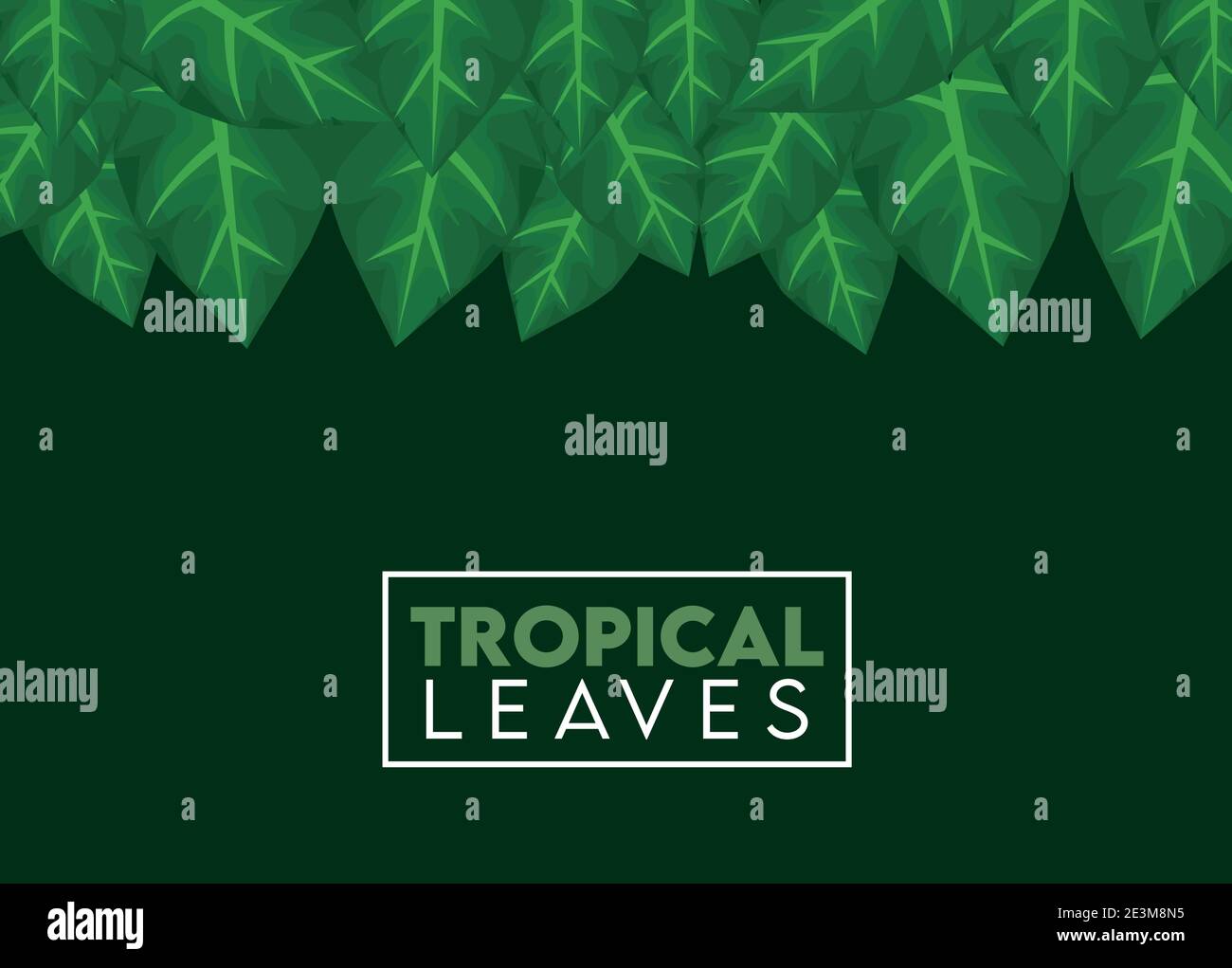 tropical leaves lettering poster with leafs square frame vector ...
