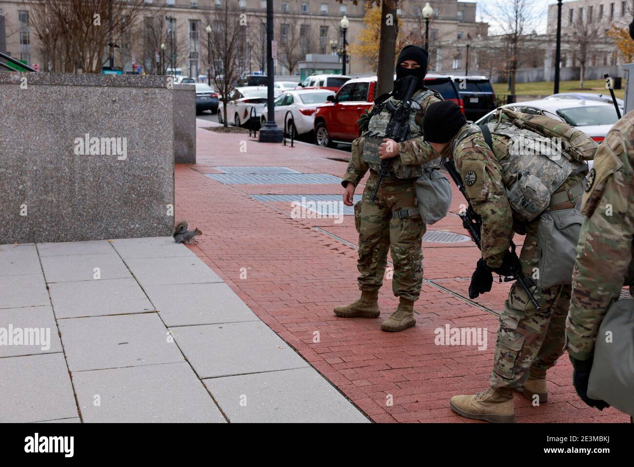 Members of the 116th Cavalry Brigade Combat Team headquartered at Gowen Field, Boise, Idaho, try to coax a squirrel while standing on guard near the United States Capitol Building on the eve of the inauguration of president elect Joe Biden. Stock Photo