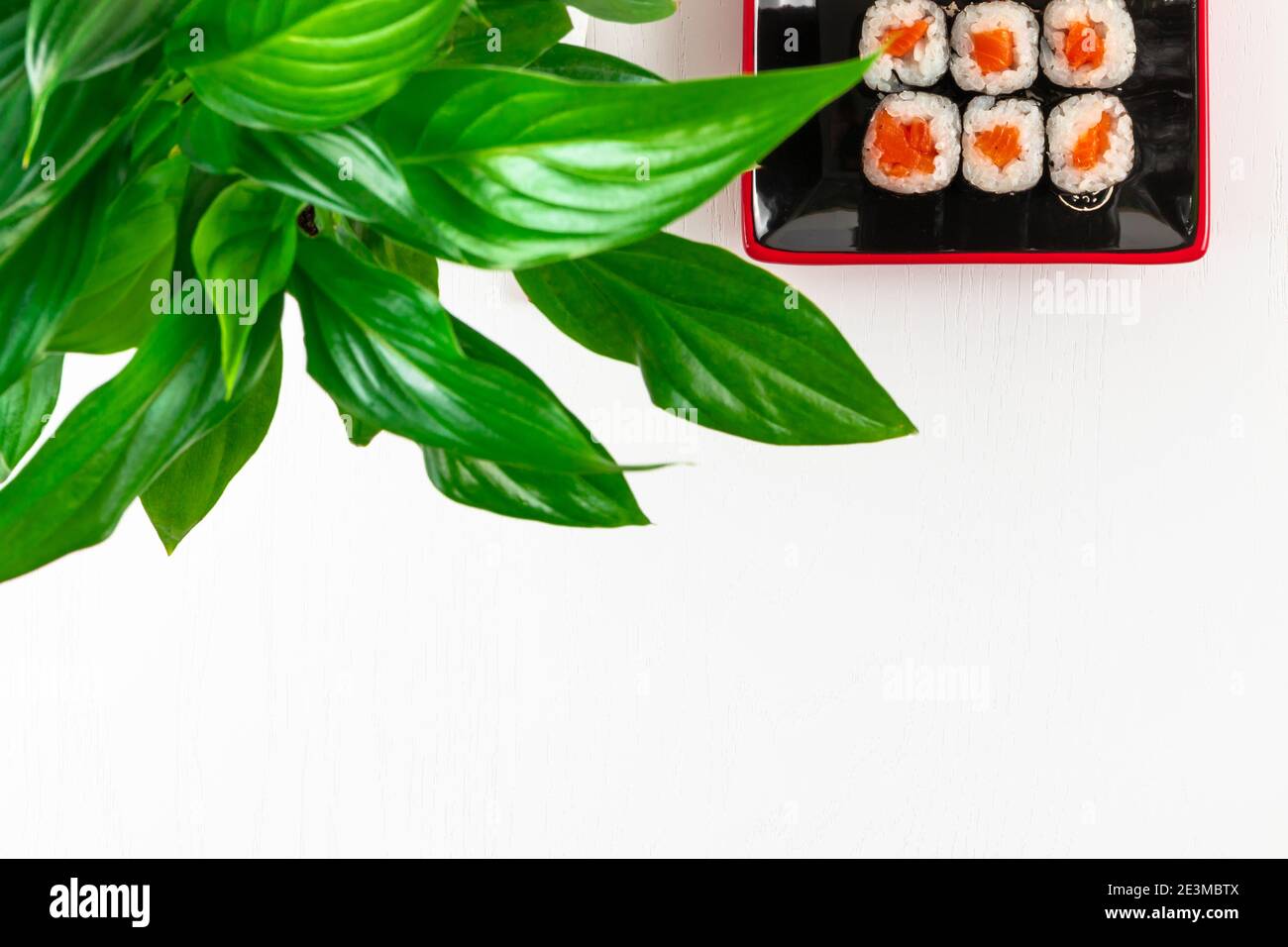 fresh appetizing rolls with salmon in nori seaweed in black-red plates on a white plate. near young green leaves of a plant Stock Photo