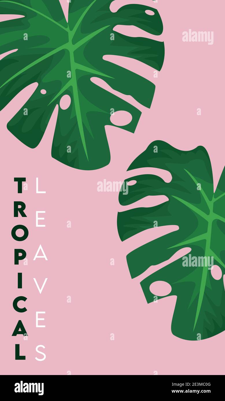 tropical leaves lettering poster with leafs in pink background vector ...