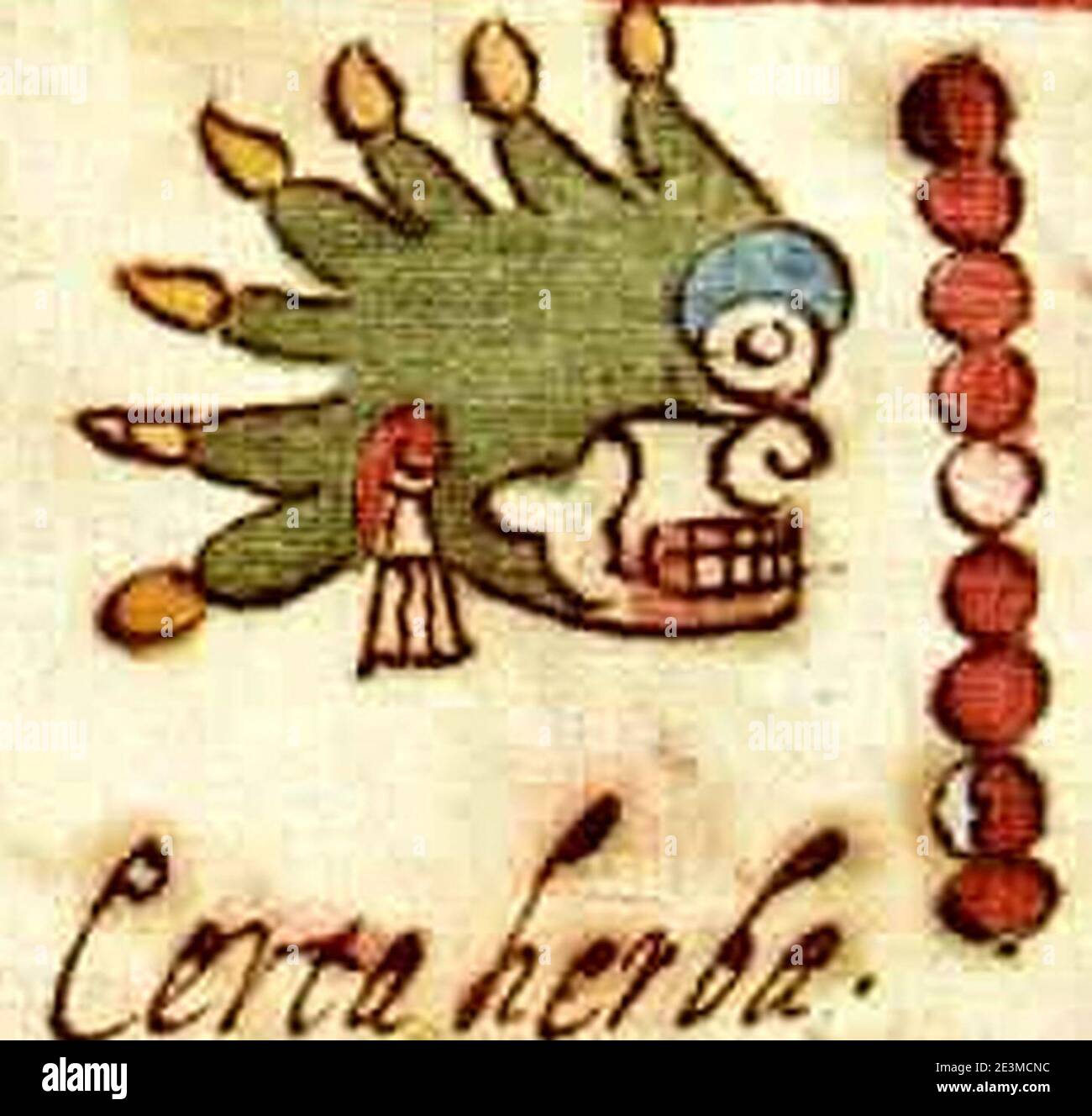 Codex rios hi-res stock photography and images - Alamy