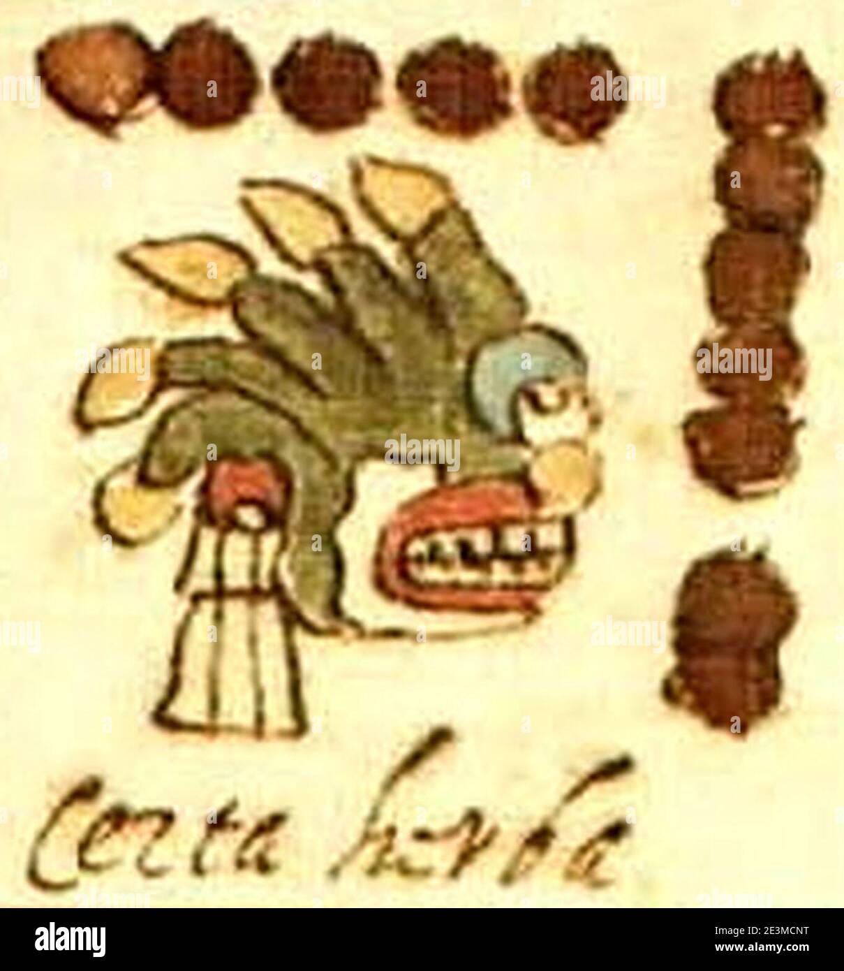 Codex rios hi-res stock photography and images - Alamy