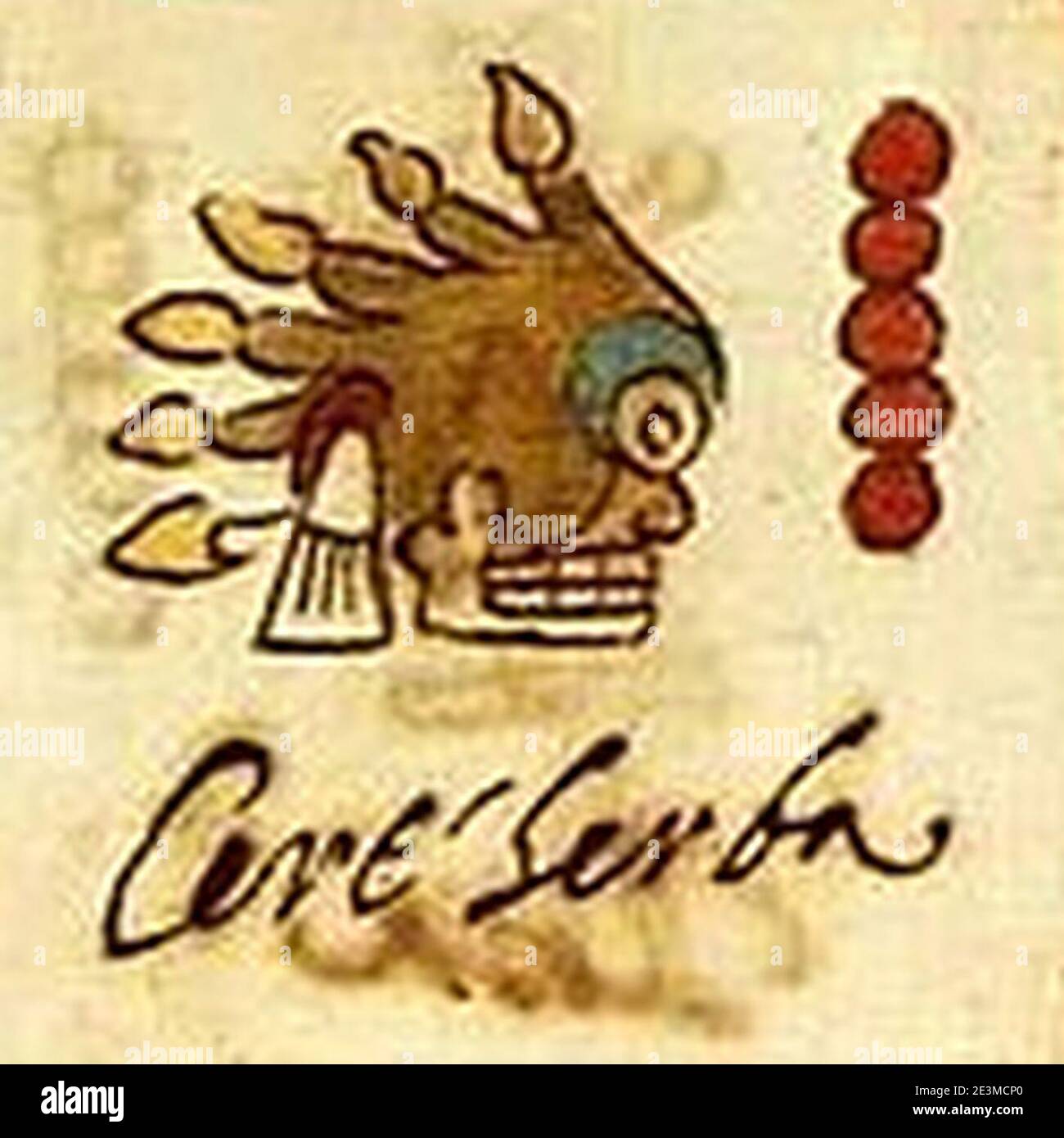 Codex rios hi-res stock photography and images - Alamy