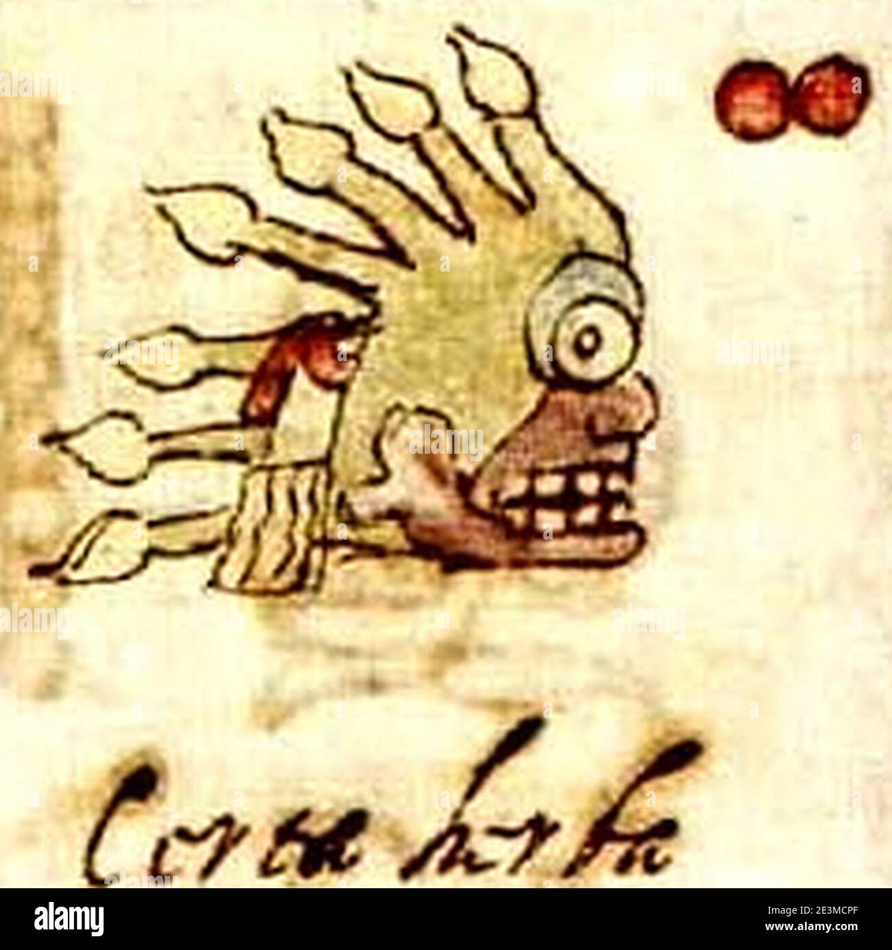 Codex rios hi-res stock photography and images - Alamy