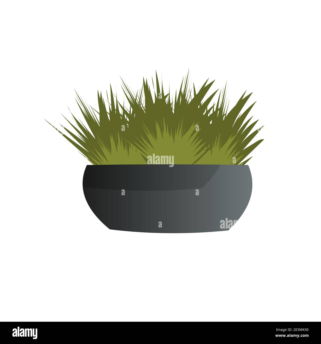 potted plant isolated on white background vector illustration Stock ...