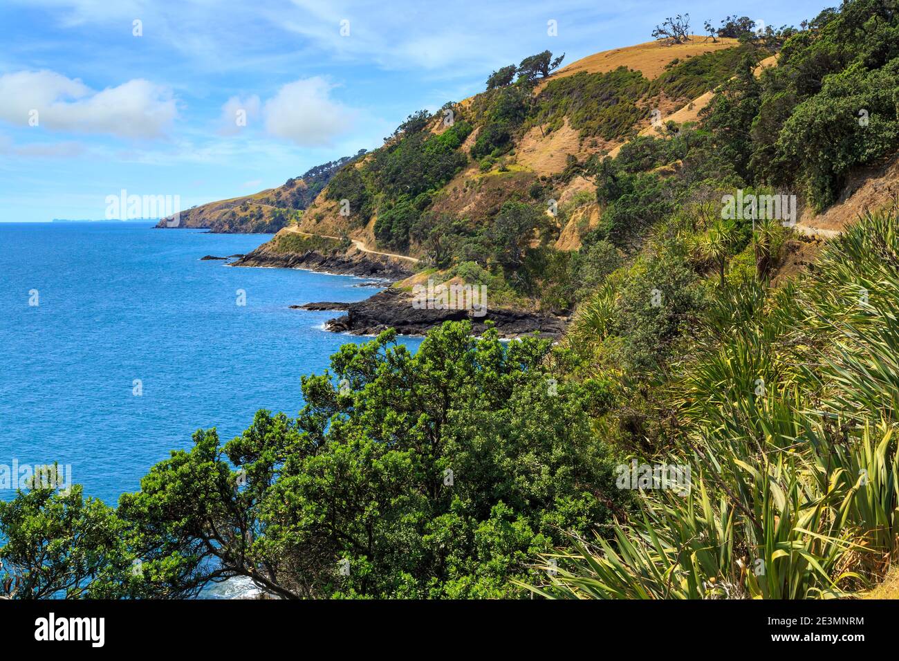 Coastal landscape on the remote northern tip of the Coromandel Peninsula, New Zealand Stock Photo