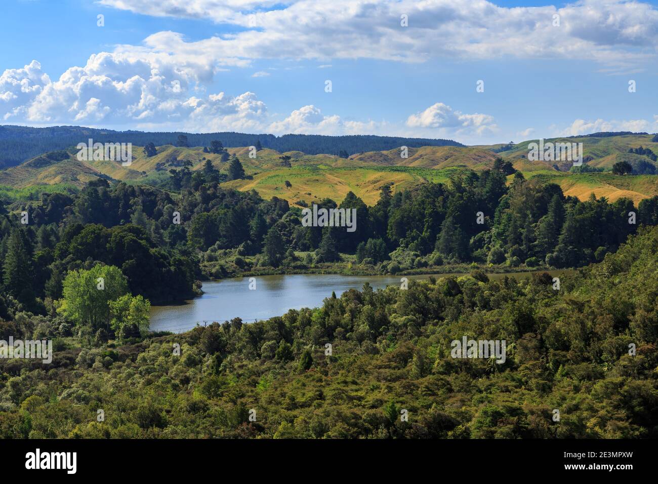 Lake Ngahewa, a small lake to the south of Rotorua, New Zealand. It is surrounded by forest and wetland Stock Photo