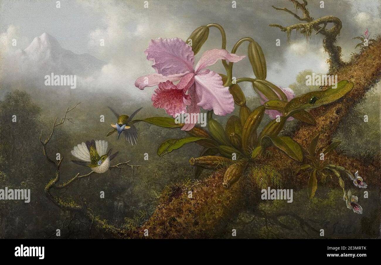 Martin Johnson Heade - Cattleya Orchid, Two Hummingbirds and a Beetle Stock Photo