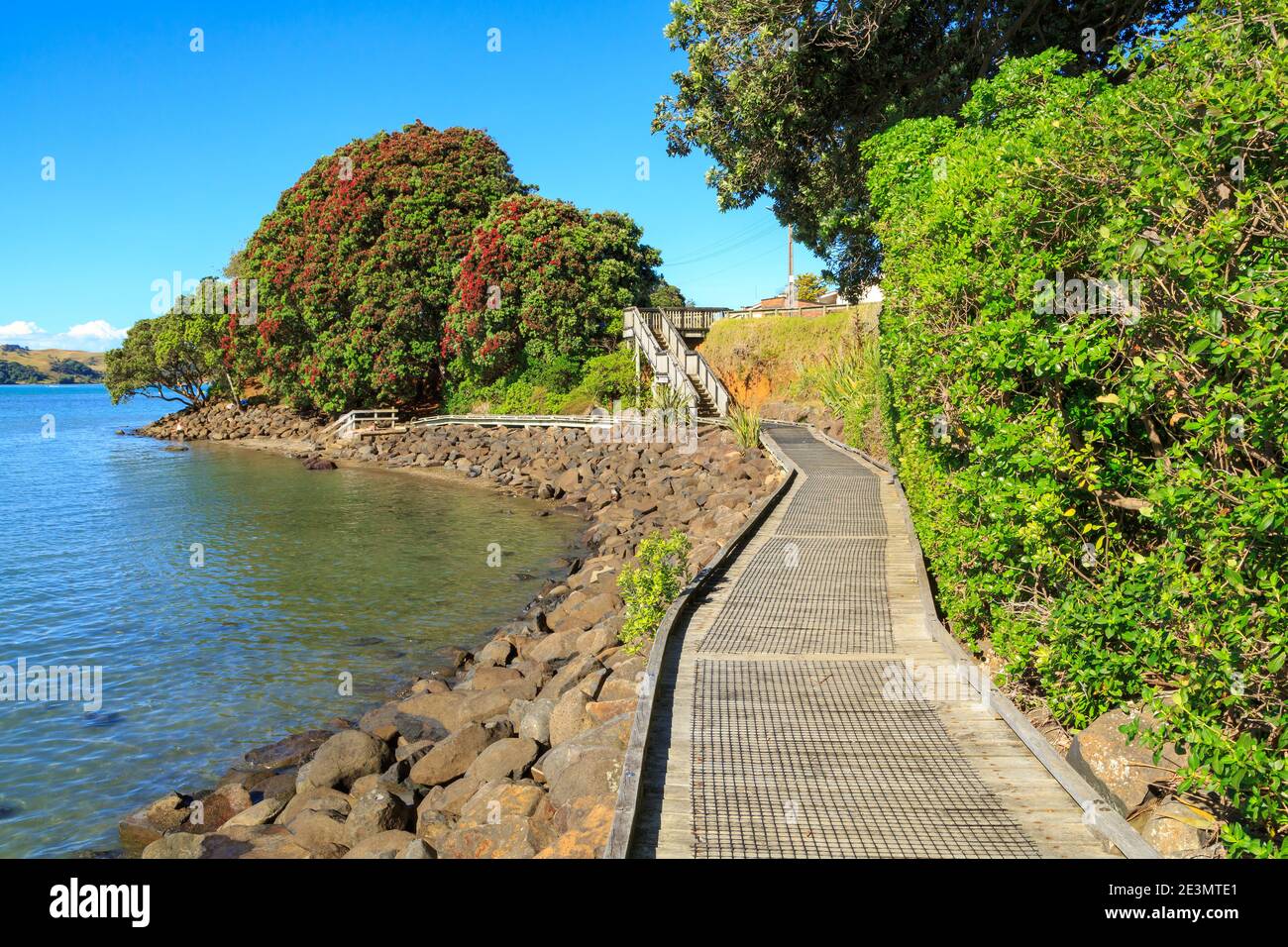 A wooden boardwalk on the edge of the harbor at Raglan, New Zealand. in the background is a pohutukawa tree with red summer blossoms Stock Photo