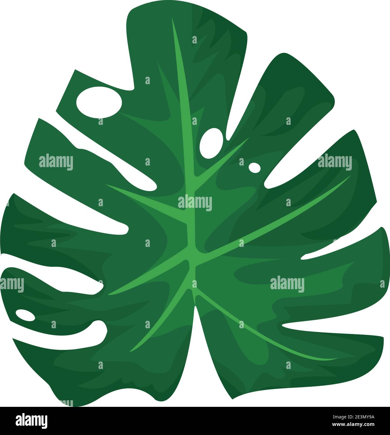 leave monstera plant green nature icon vector illustration design Stock ...