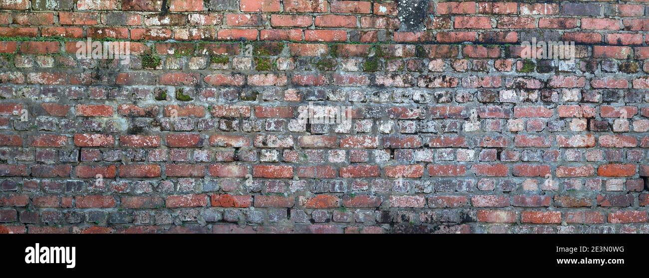 Old weathered red brick wall texture with green moss Stock Photo