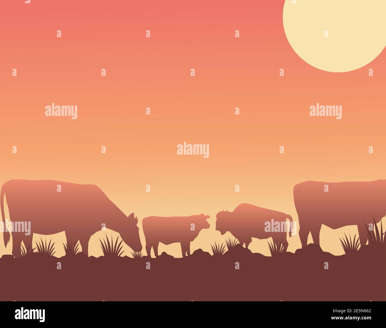 wild west sunset scene with cows in the camp vector illustration design ...