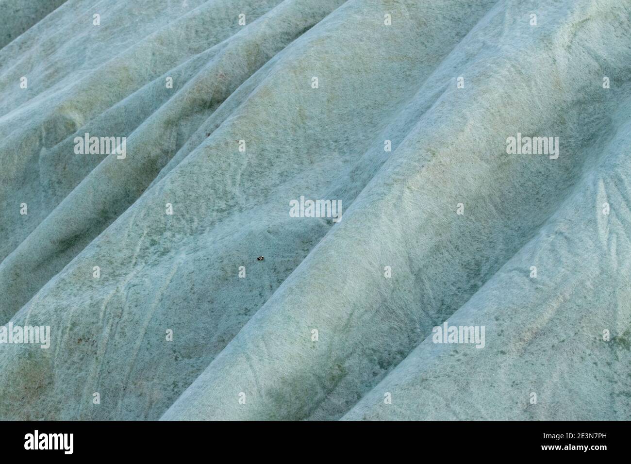 A tarpaulin to cover the sugar beet in the sunshine. Stock Photo