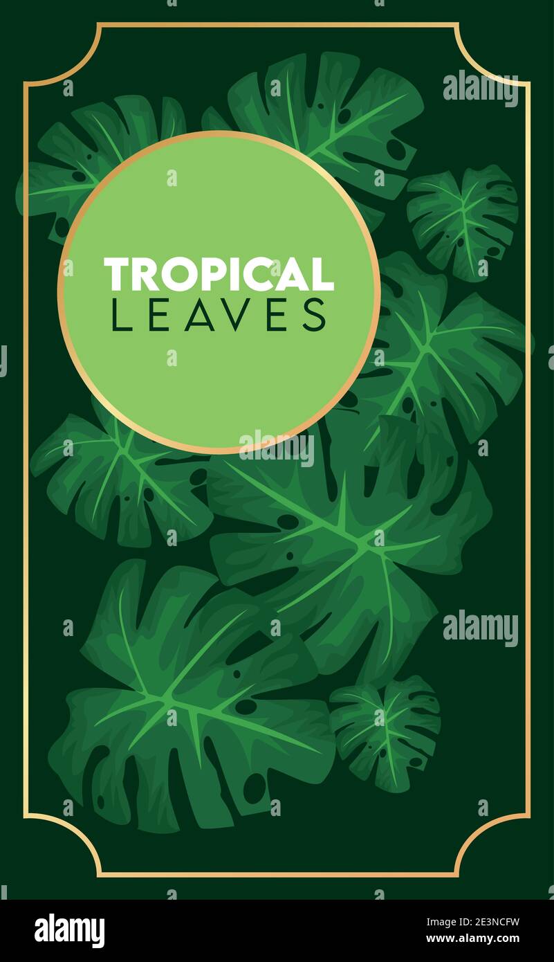 tropical leaves lettering poster with green circular frame in black ...
