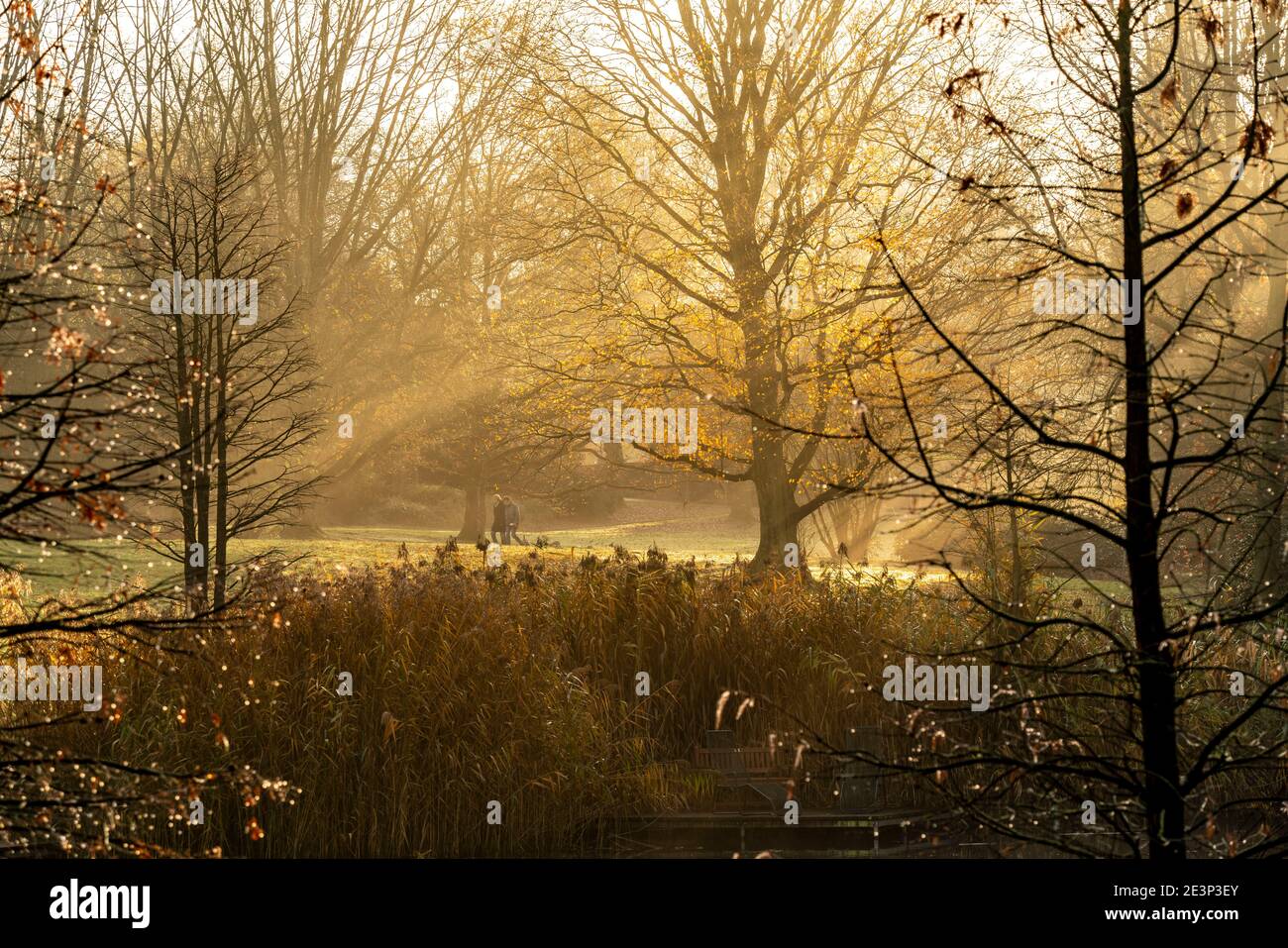 The Grugapark, Essen, botanical garden, park for leisure and recreation, autumn, Essen, NRW, Germany, Stock Photo