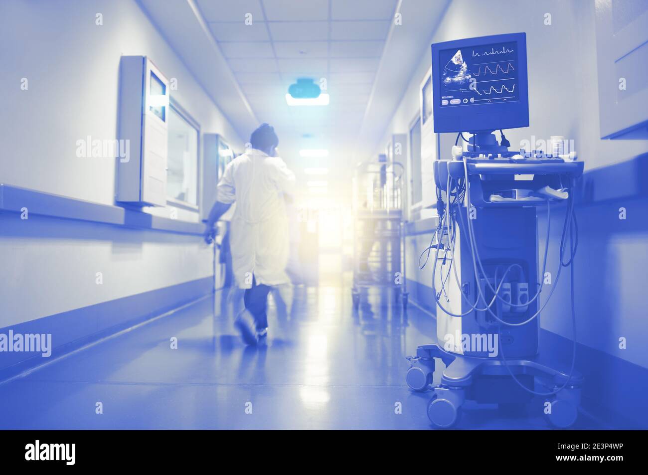 ECG and ultrasonic monitoring of cardiac function with flashing light