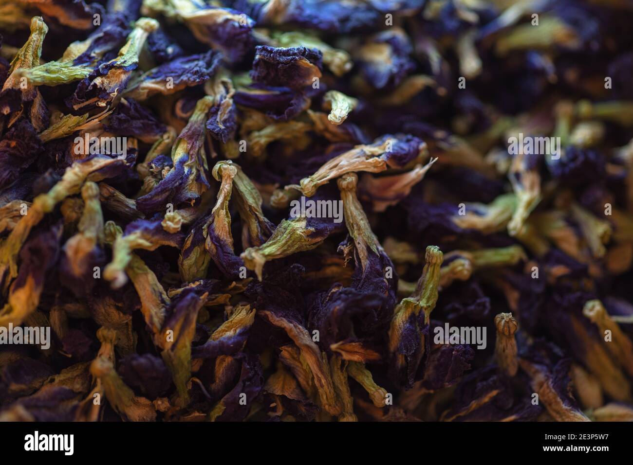 Flowers of the dye plant blue clitoria (Clitoria ternatea) for coloring food blue Stock Photo