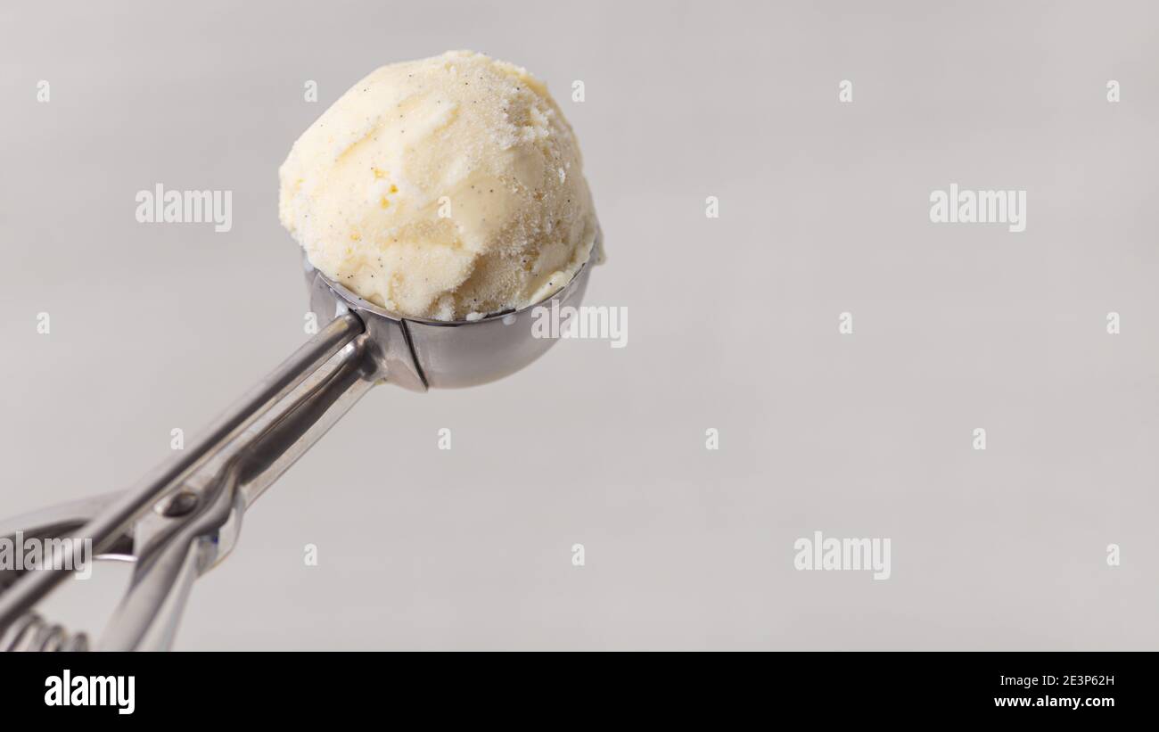 Molded scoop of vanilla ice cream in the ice cream scoop of an ice cream parlor Stock Photo