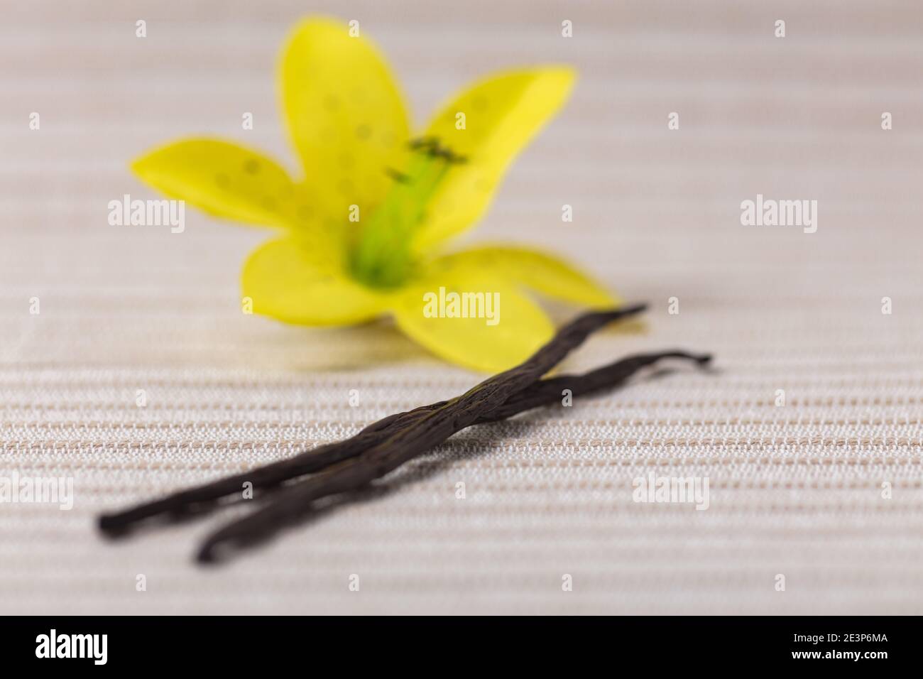 Two vanilla pods with vanilla blossom as a vanilla concept Stock Photo