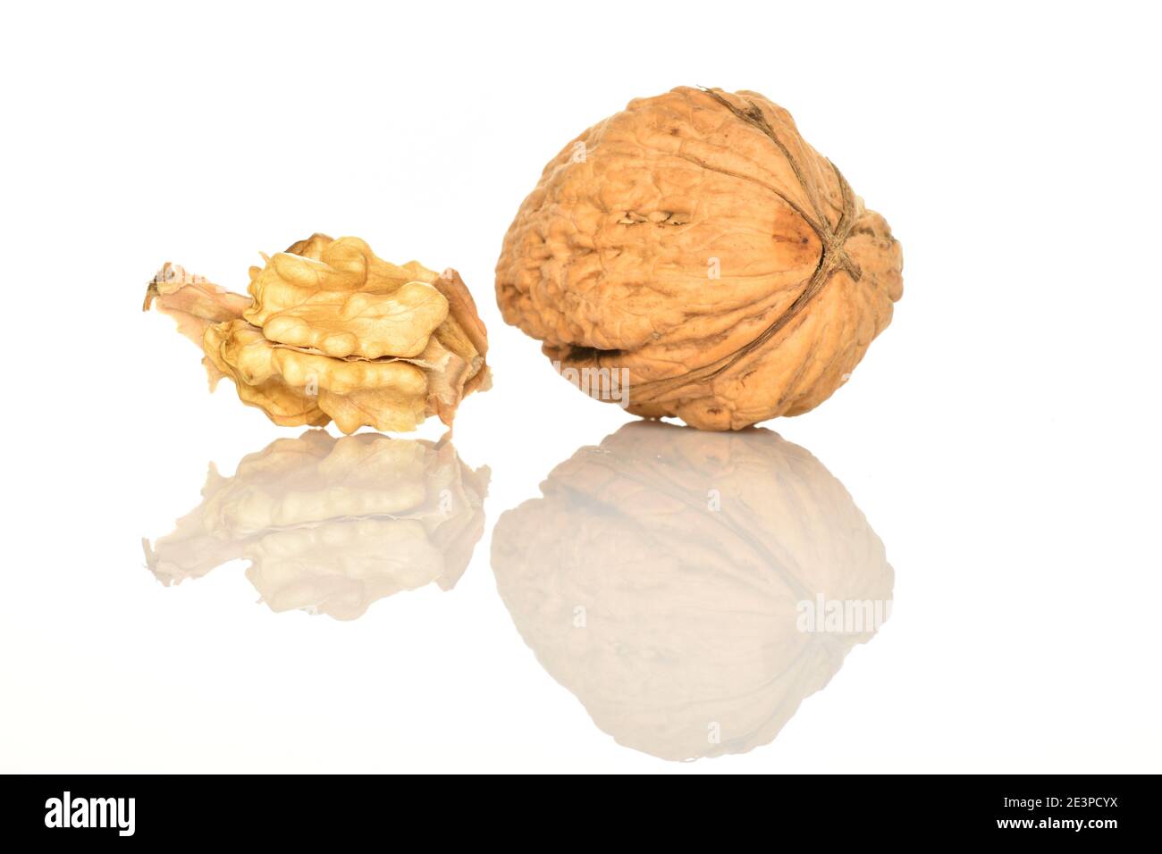 One light yellow ripe tasty peeled walnut kernel and one whole dark brown nut, on a white background. Stock Photo