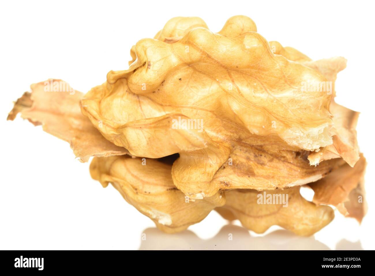 One light yellow ripe tasty peeled walnut kernel, macro, on a white background. Stock Photo