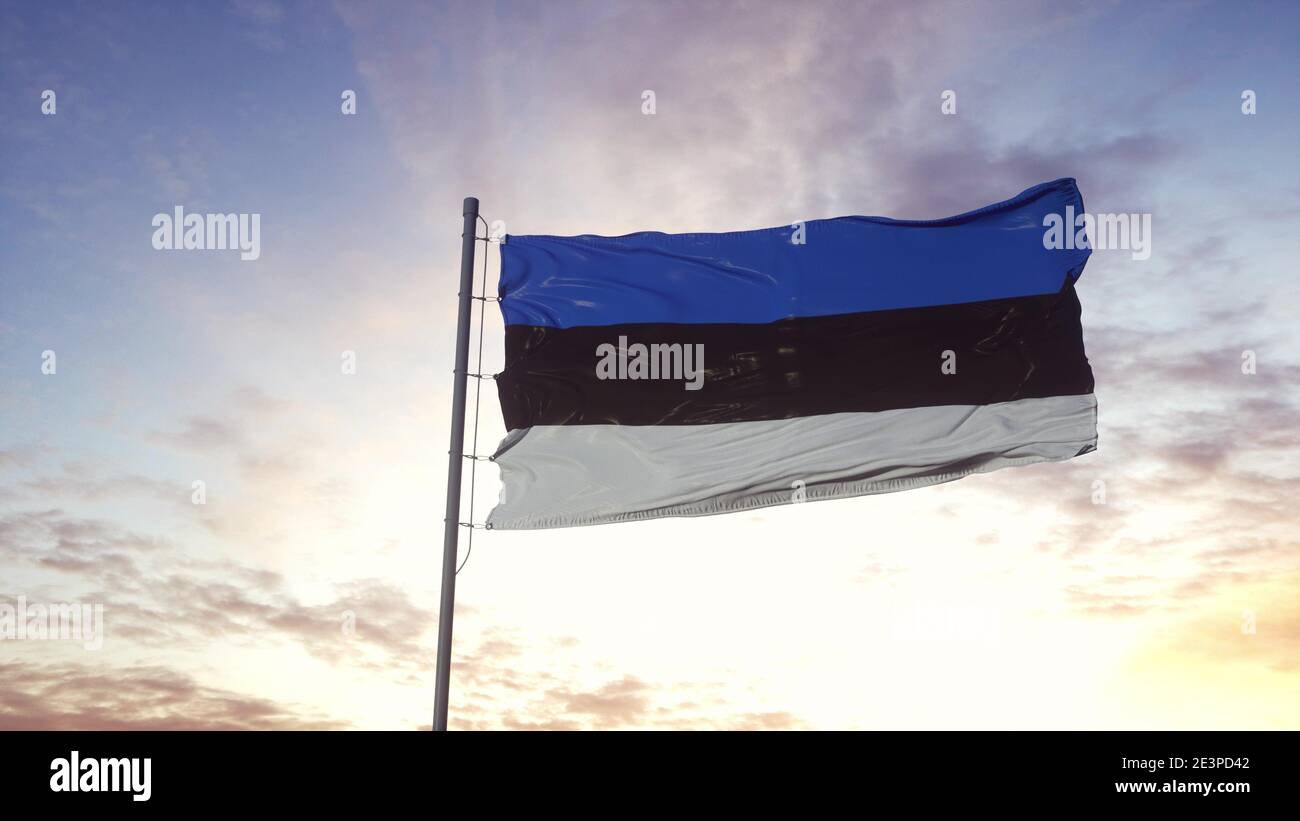 Estonia flag waving in the wind, dramatic sky background. 3d ...