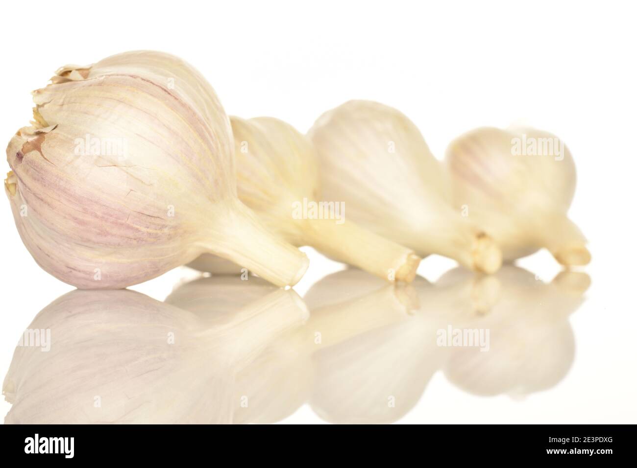 A few whole heads of spicy fresh fragrant garlic on a white background