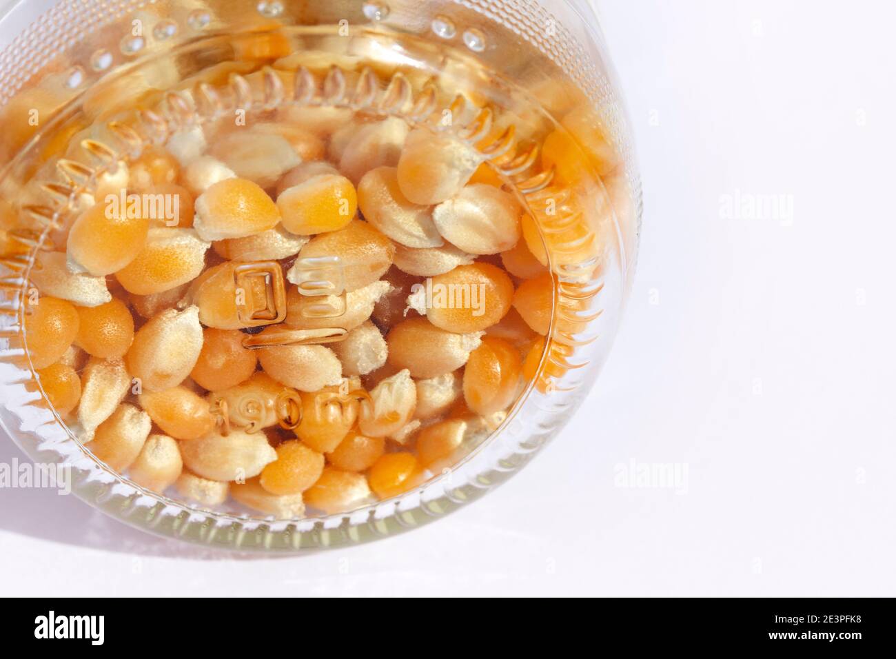 corn kernels in the jar Stock Photo Alamy