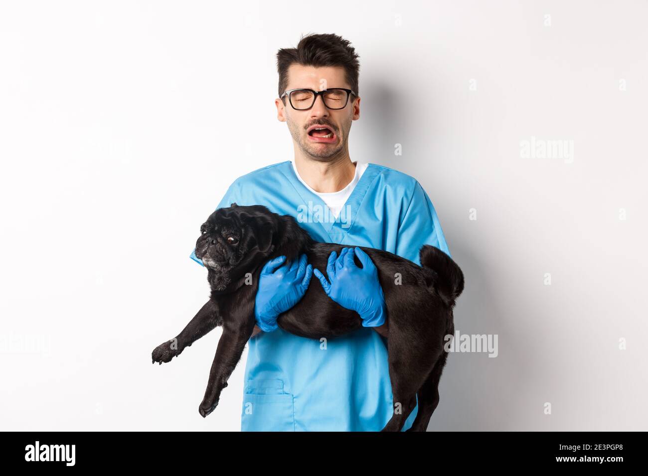 Vet clinic concept. Sad veterinarian holding black pug dog and crying, sobbing with miserable face, standing over white background Stock Photo