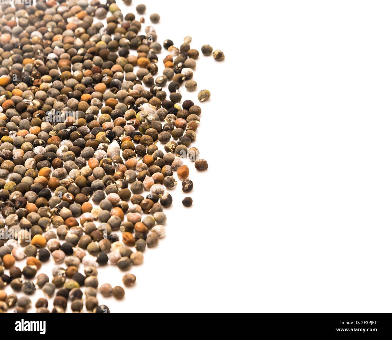 Spread view of organic okra seeds isolated on white background. Non