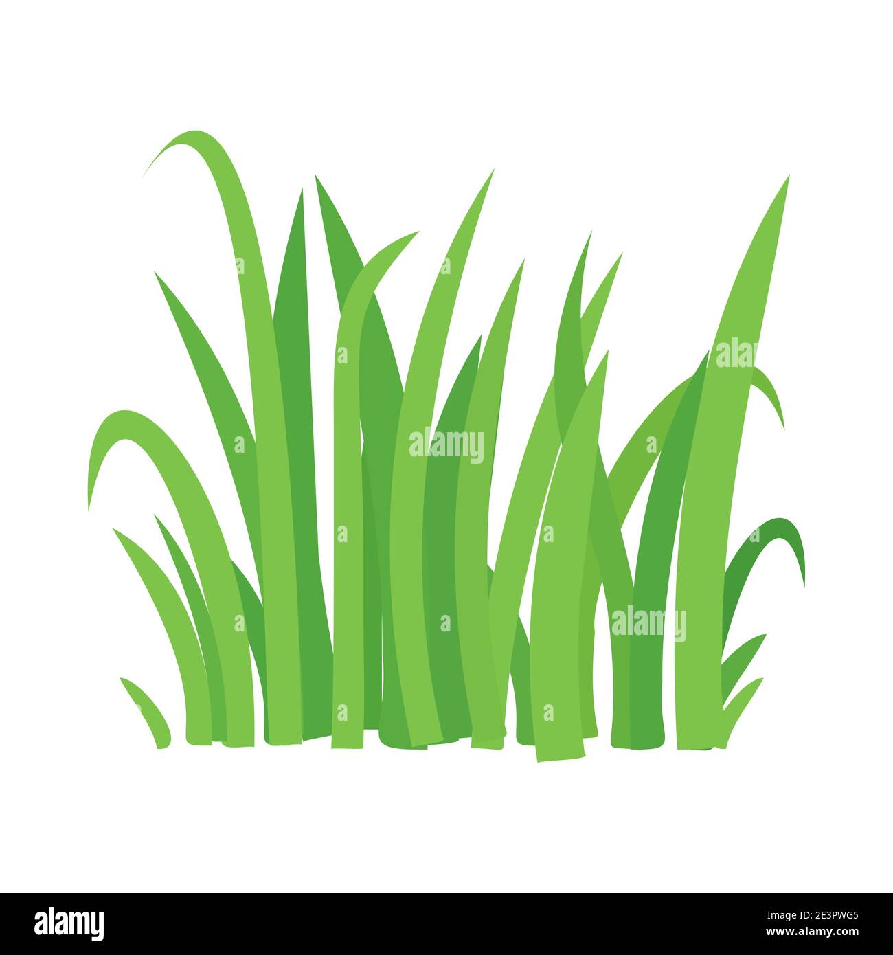 Grass vector cartoon texture. Grass field shape green silhouette plant bush  Stock Vector Image & Art - Alamy