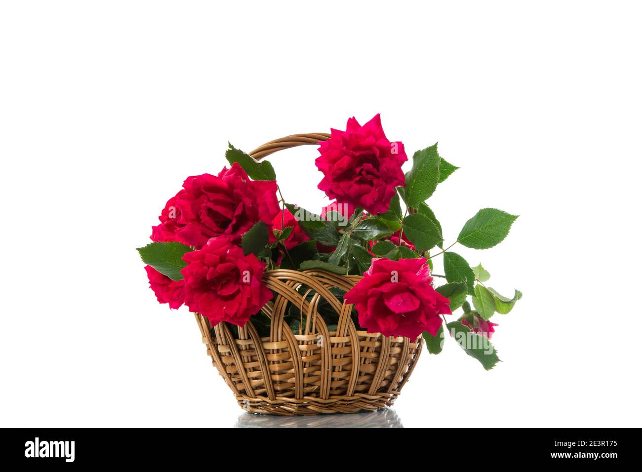 bouquet of beautiful red roses isolated on white background Stock Photo ...
