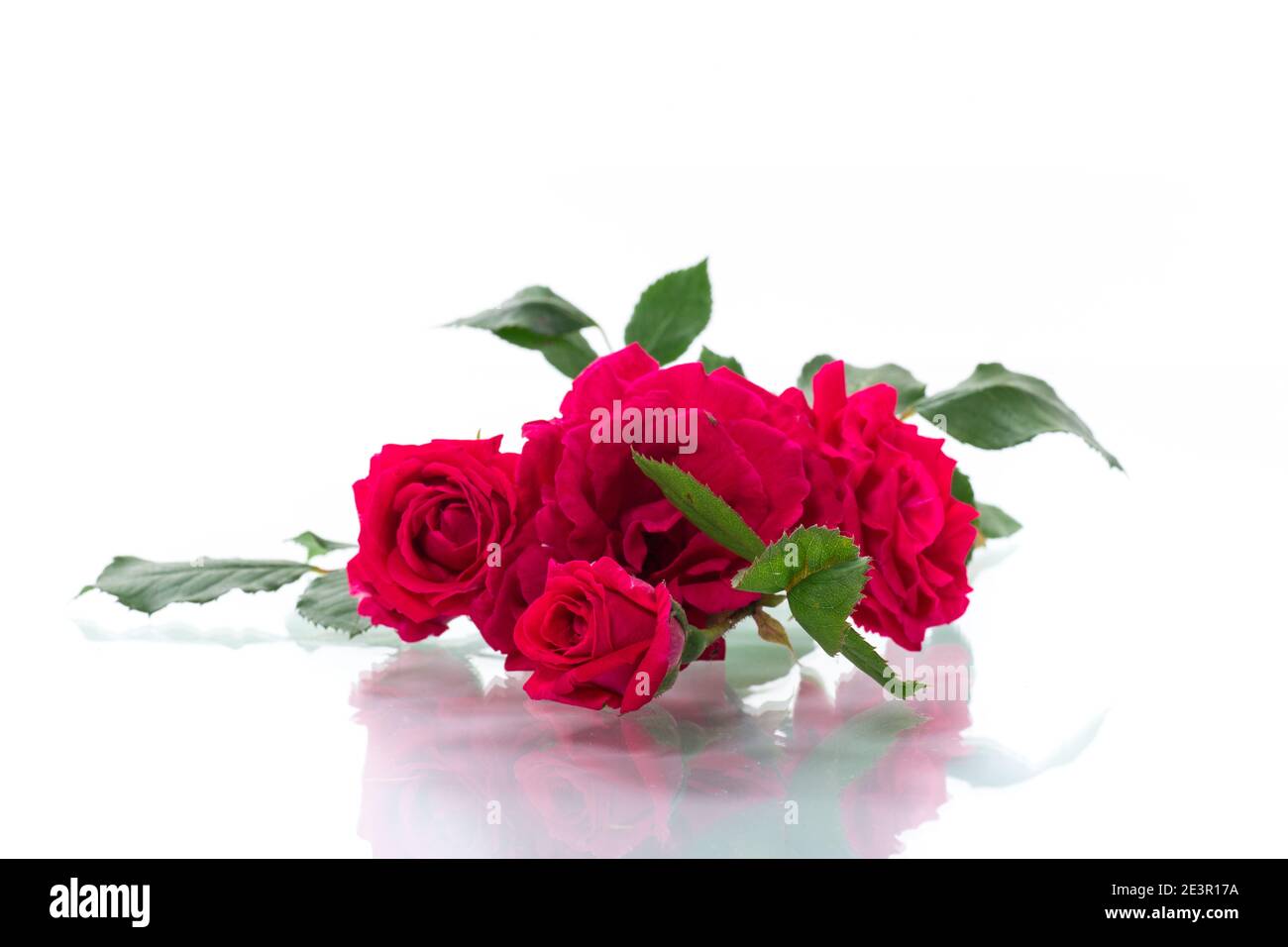 bouquet of beautiful red roses isolated on white background Stock Photo ...