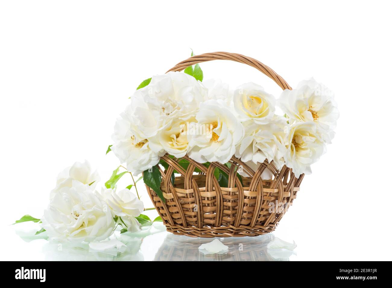 bouquet of beautiful white roses isolated on white background Stock ...