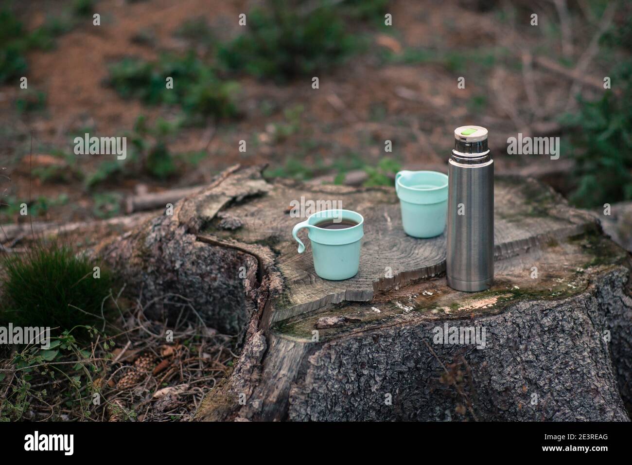 A thermos with tea and two cups outside on a tree stubb Stock Photo