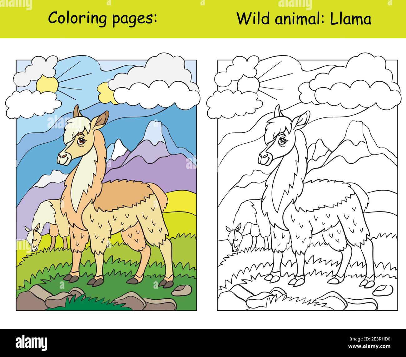 Vector coloring page with cute llama in mountain area. Cartoon isolated colorful illustration. Coloring book page and color template. For coloring boo Stock Vector