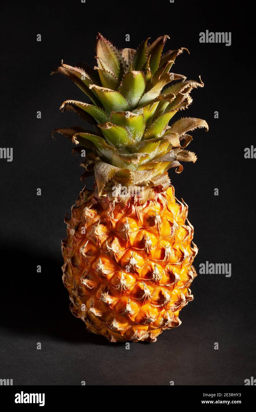 mini pineapple  on black background Stock Photo