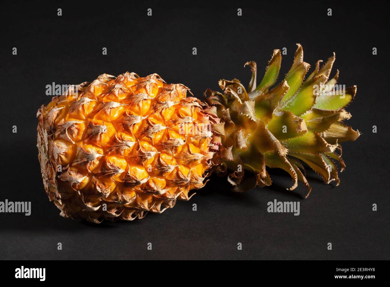 mini pineapple  on black background Stock Photo