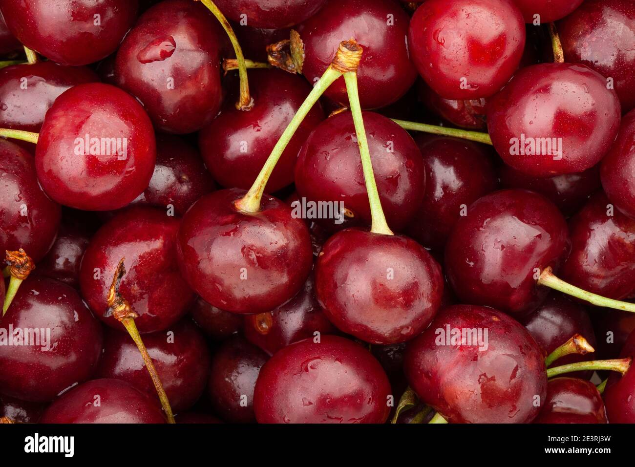 sour cherry macro detail closeup Stock Photo