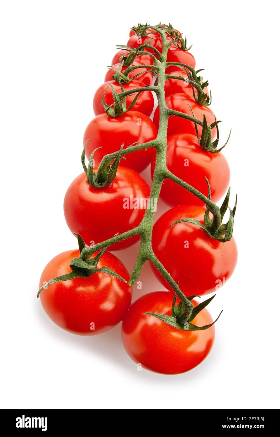 cherry tomato branch path isolated on white Stock Photo - Alamy