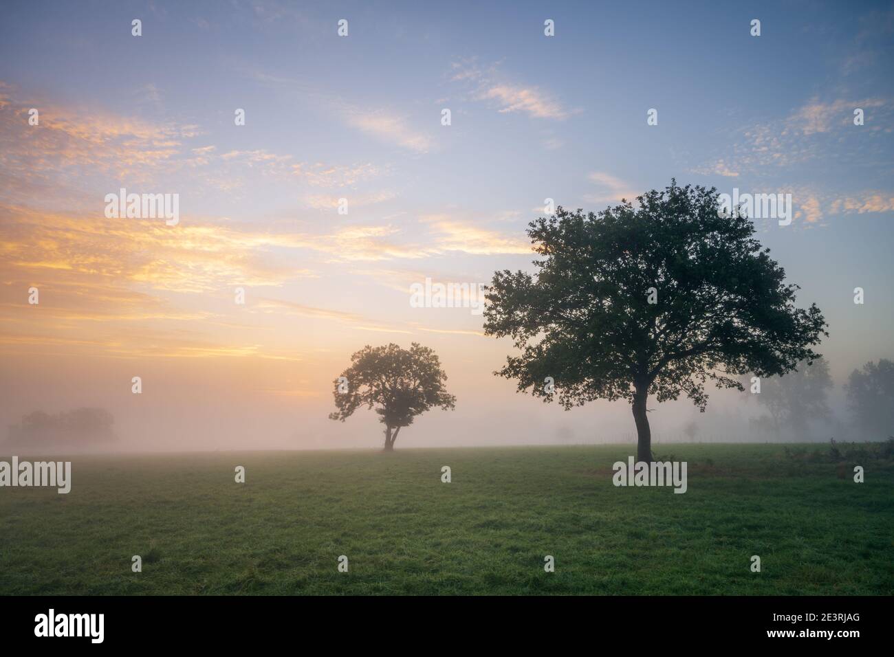 A foggy sunrise in the Poitou-Charentes countryside near Confolens with two trees visible through the low hanging mist. Stock Photo